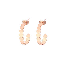 Load image into Gallery viewer, Stainless Steel earrings For Women