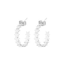 Load image into Gallery viewer, Stainless Steel earrings For Women